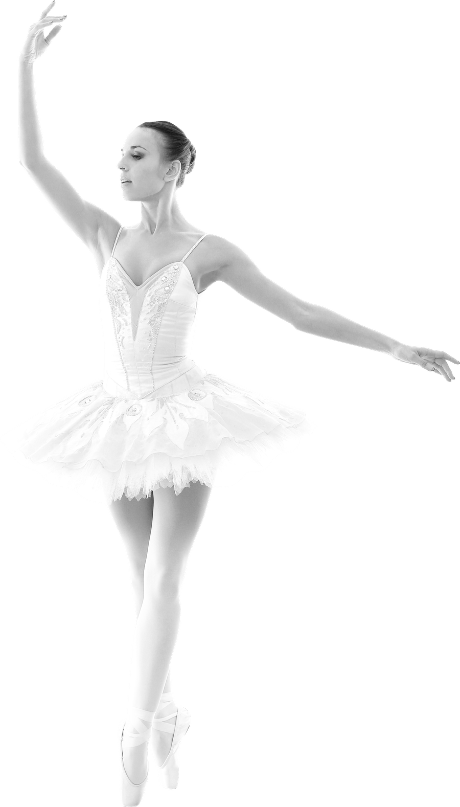 beautiful gorgeous ballerina ballete pose SW